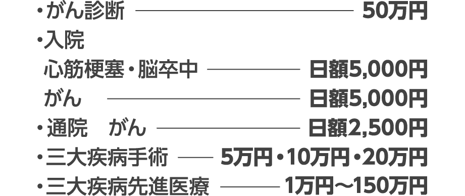 がん診断:50万円 入院(心筋梗塞・脳卒中:日額5,000円 がん:日額5,000円) 通院(がん:日額2,500円) 三大疾病手術:5万円・10万円・20万円 三大疾病先進医療:1万円〜150万円