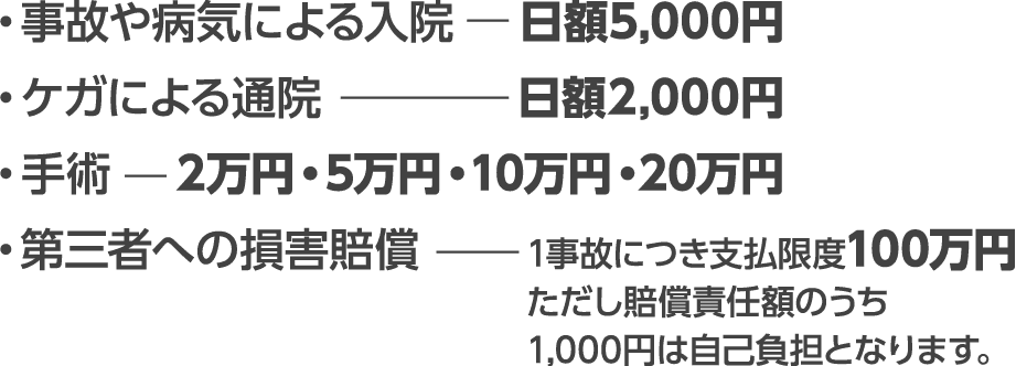 事故や病気による入院:日額5,000円 ケガによる通院:日額2,000円 手術:2万円・5万円・10万円・20万円 第三者への損害賠償:1事故につき支払限度100万円※ただし賠償責任額のうち1,000円は自己負担となります。