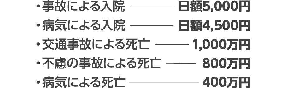 事故による入院:日額5,000円 病気による入院:日額4,500円 交通事故による死亡:1,000万円 不慮の事故による死亡:800万円 病気による死亡:400万円